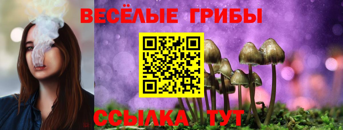 Галлюциногенные грибы MAGIC MUSHROOMS Рославль